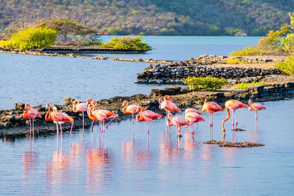 Curaçao Travel Tips