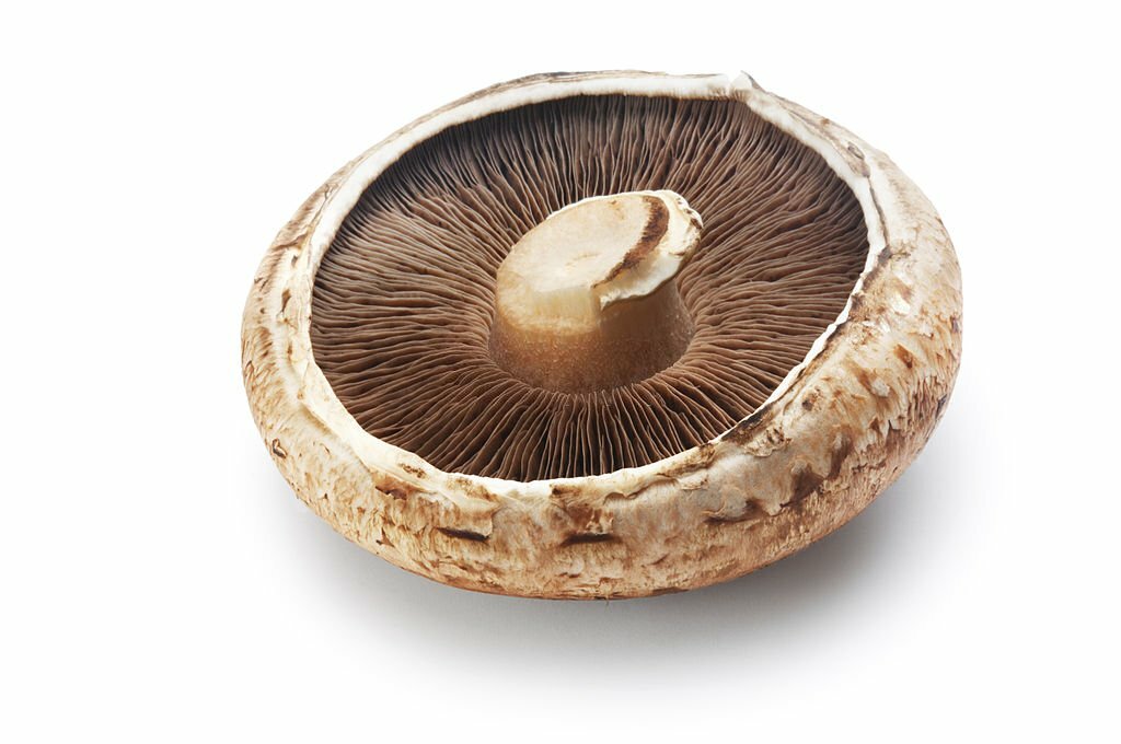 Positive and Negative Effects of Portobello Mushrooms: A Comprehensive Guide