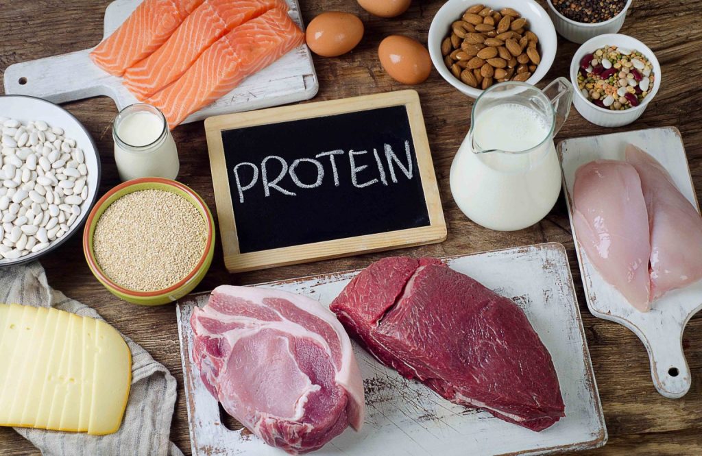 Protein Prowess
